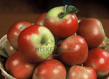 Amasya Misket Elması(TEST)